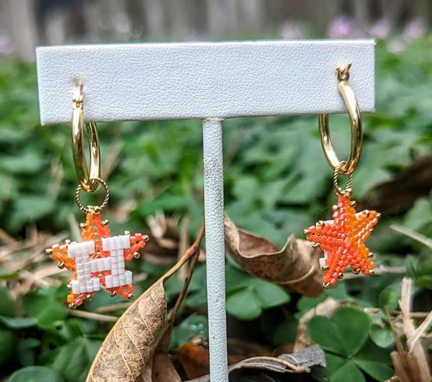 Houston Star Hoop Hangers